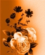 994339_88035_profile