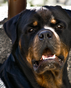 995687_86208_profile