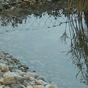 996107_71897_card