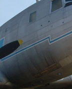997253_46048_profile