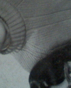 909643_63520_profile