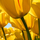990261_17815_mini