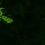 99707_241157_card