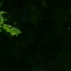 99707_241157_tiny